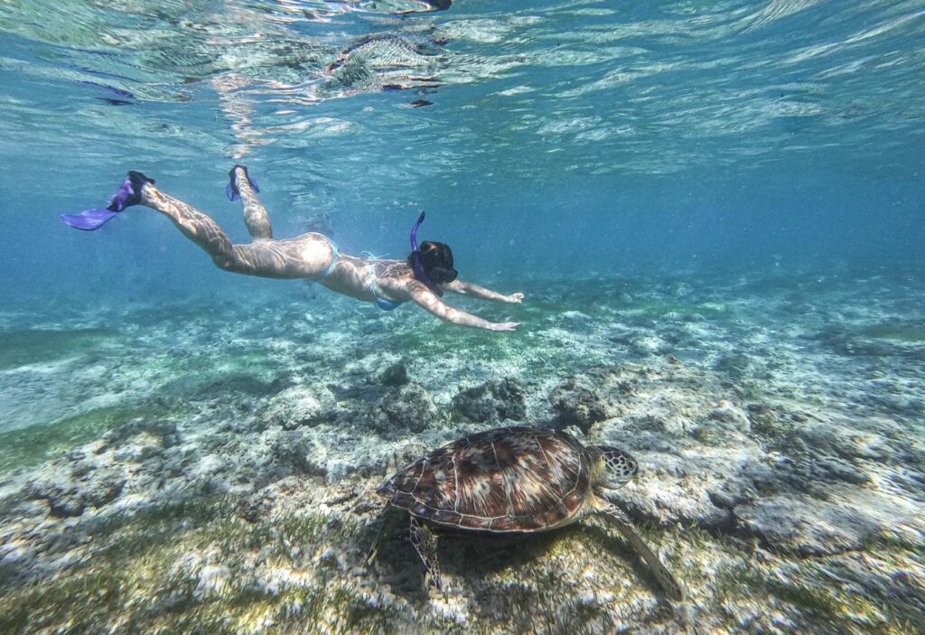 nadar con tortugar es una de las cosas que hacer en Bali