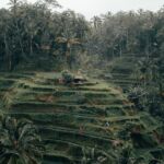 Qué ver en Bali: nuestros 4 lugares favoritos