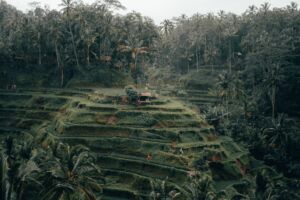 Qué ver en Bali: nuestros 4 lugares favoritos