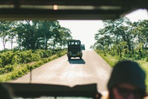 5 reservas y parques naturales en Sudáfrica que tienes que conocer