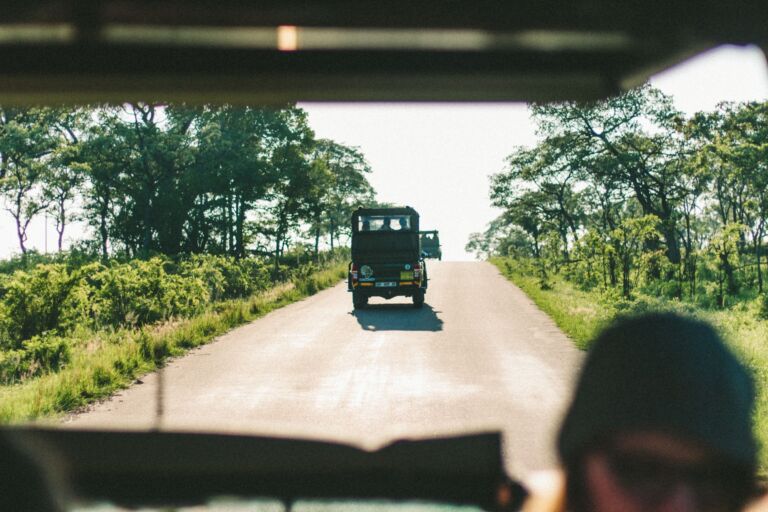 5 reservas y parques naturales en Sudáfrica que tienes que conocer