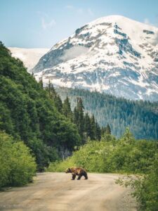 ¿Merece la pena viajar a Alaska?