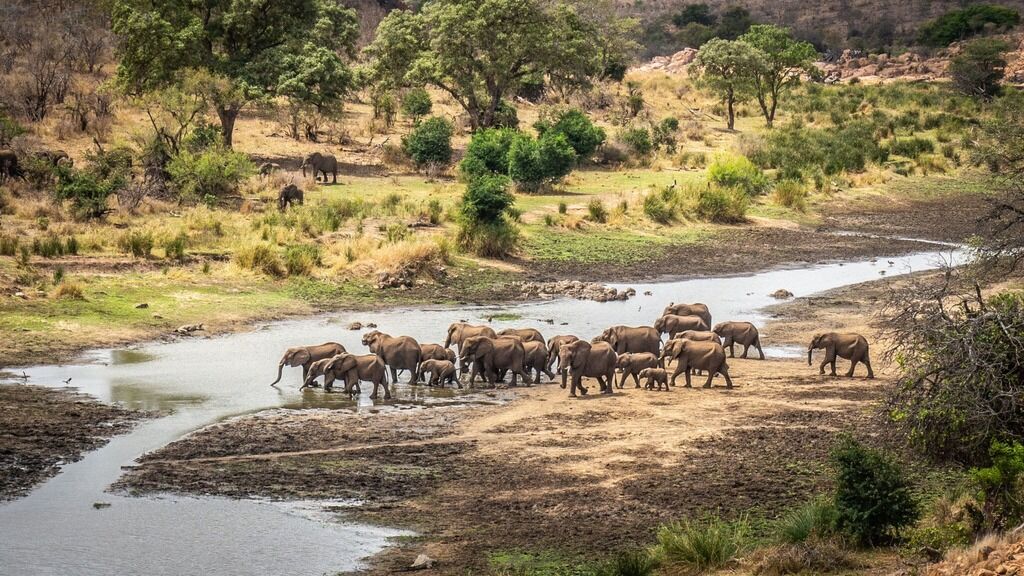 Parque Natural Kruger en Sudáfrica