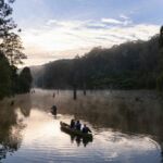 5 lugares para ver ornitorrincos en Australia