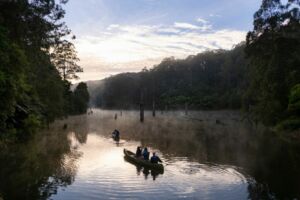 5 lugares para ver ornitorrincos en Australia