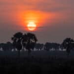 Todos los sitios que tienes que ver en tu viaje a Uganda