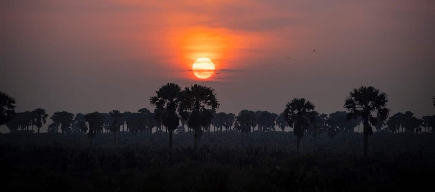 Todos los sitios que tienes que ver en tu viaje a Uganda
