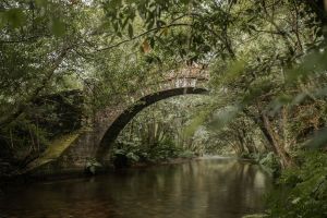 Rincones naturales que no te puedes perder en Galicia