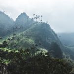 Requisitos y documentos para viajar a Colombia