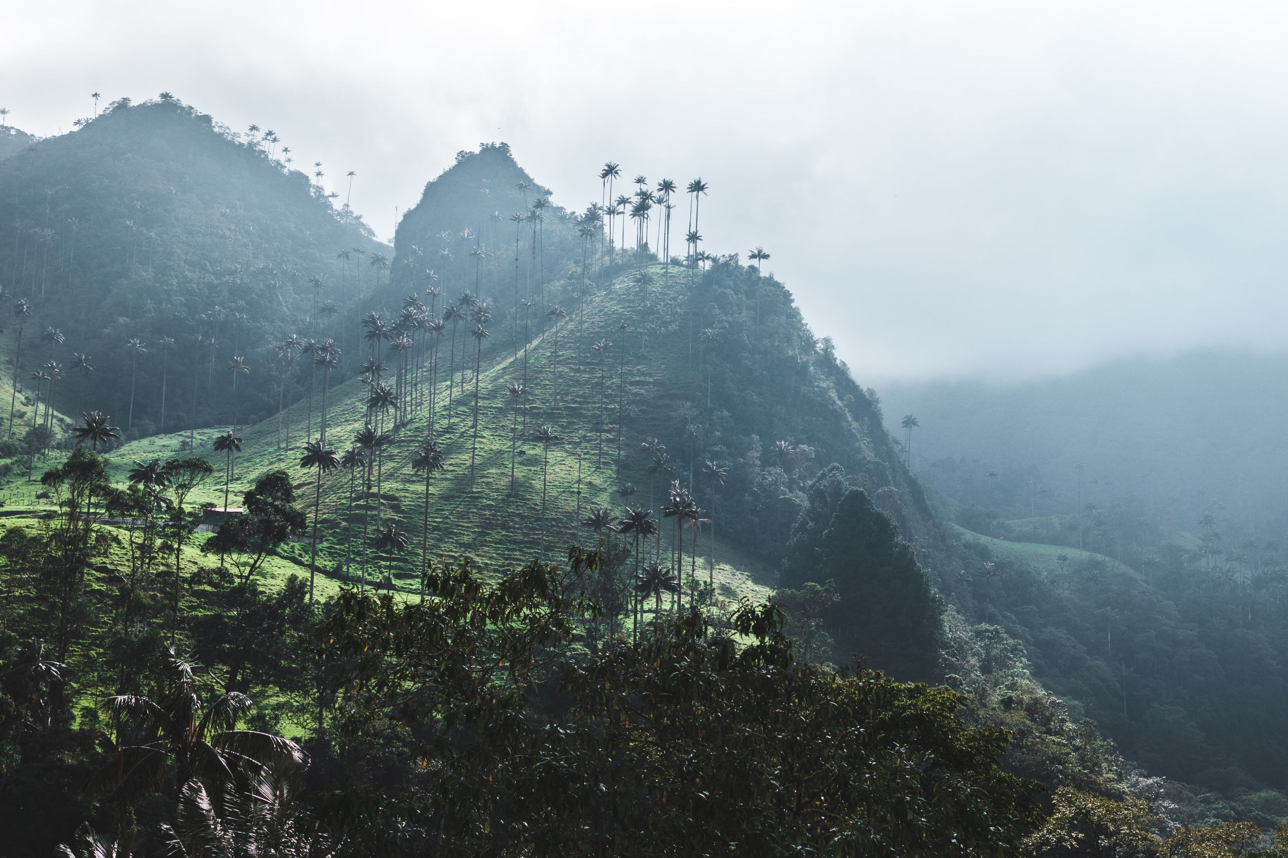 Requisitos y documentos para viajar a Colombia