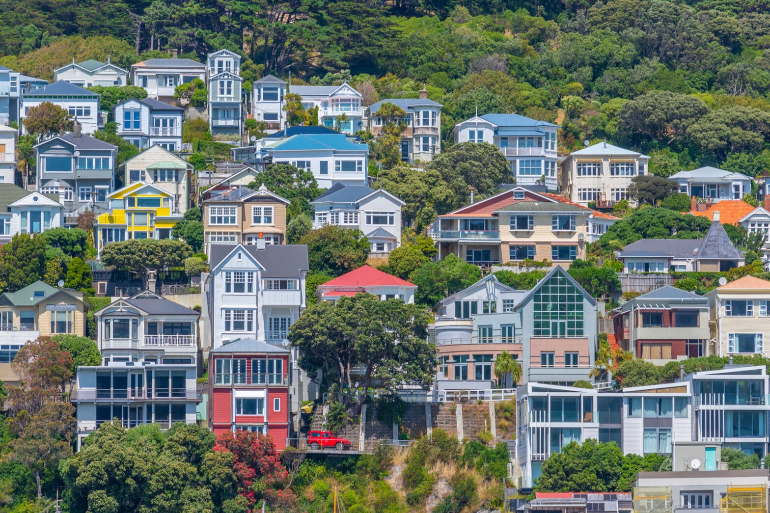 ¿Qué ver en Wellington, la capital más austral del mundo?