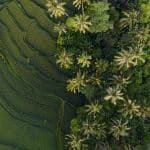 10 lugares que ver en Bali