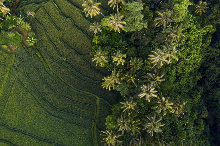 10 lugares que ver en Bali