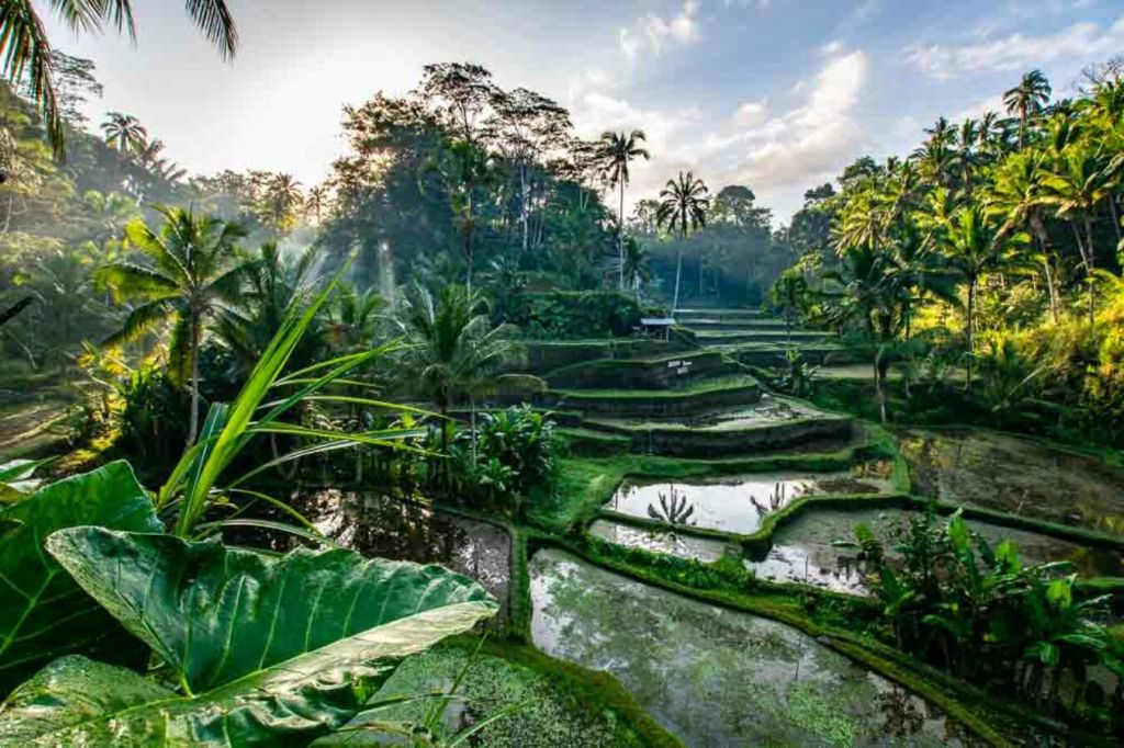 Qué visitar en Bali