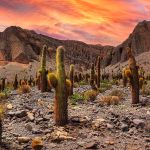 10 experiencias que hacer si viajas a Argentina