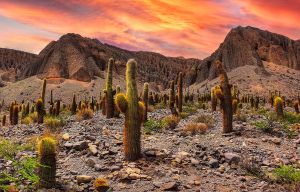 10 experiencias que hacer si viajas a Argentina