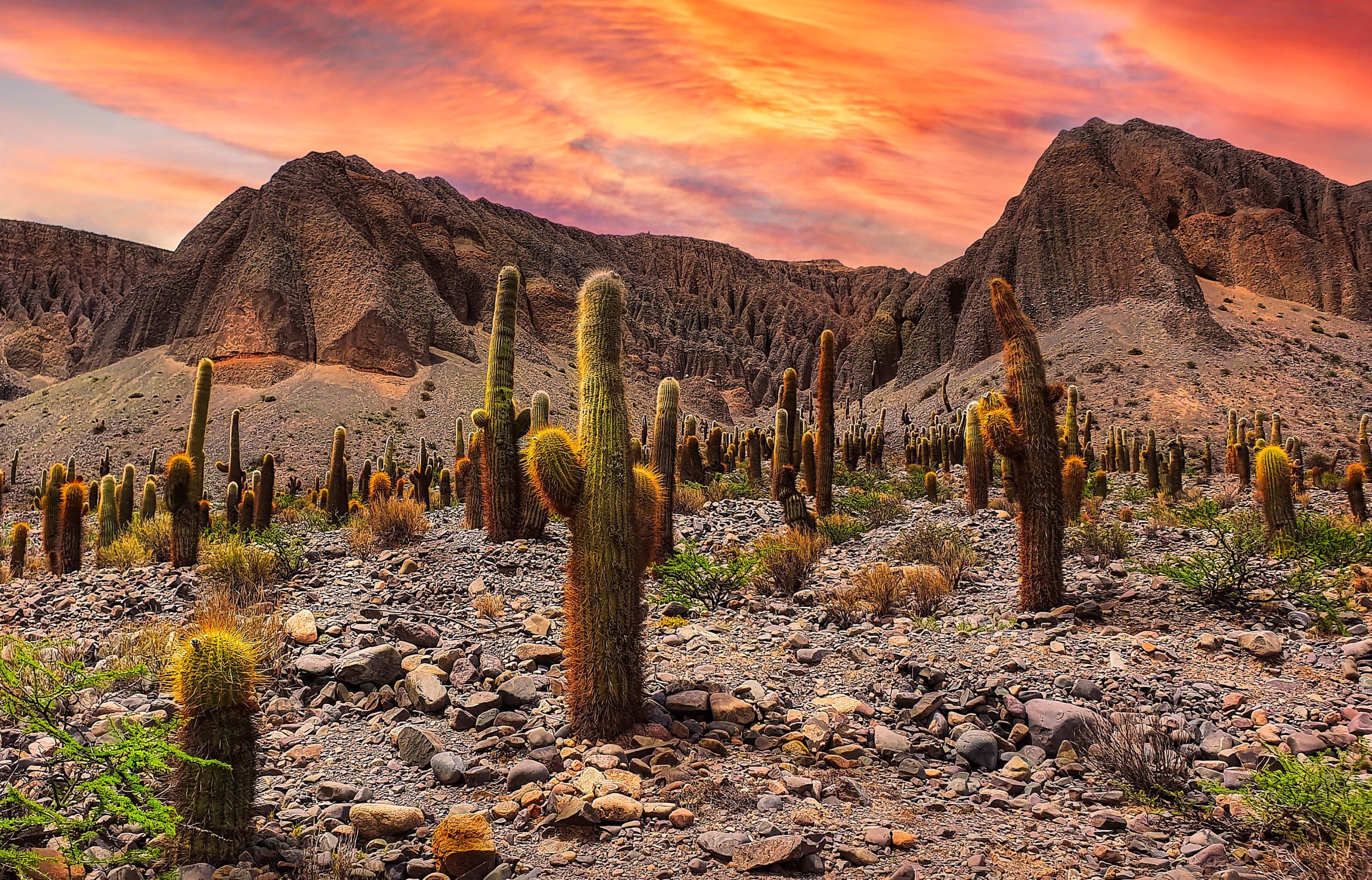10 experiencias que hacer si viajas a Argentina