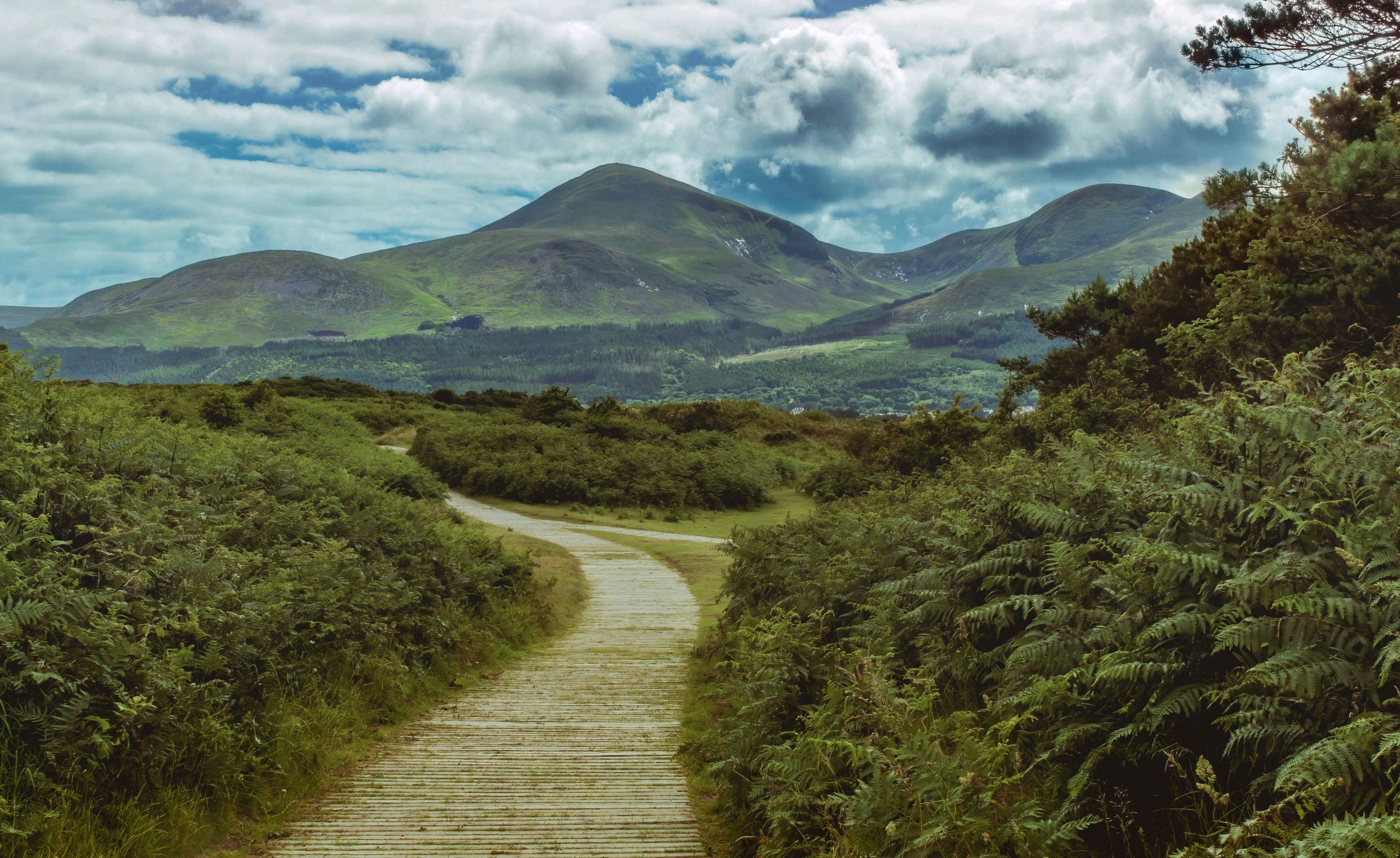 Saint Patrick’s Way: el camino de Santiago de Irlanda del Norte