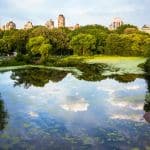 Viajar a Nueva York en septiembre: ¿Qué debo saber?