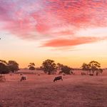 Los trabajos mejor pagados en Australia