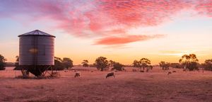 Los trabajos mejor pagados en Australia
