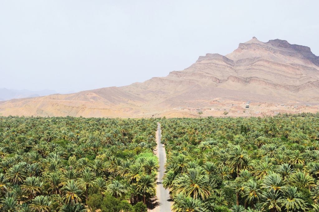 Qué ver en Marruecos en 7 días