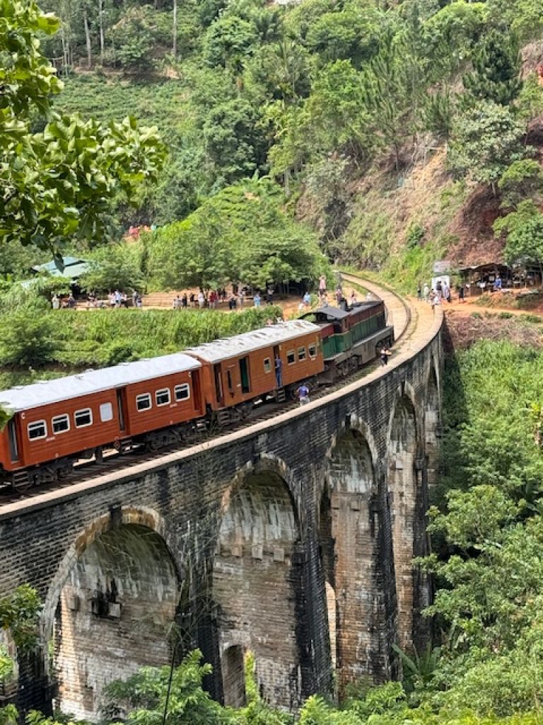 Ruta de Sri Lanka en 15 días en familia