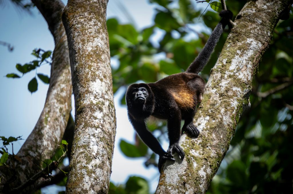 Itinerario en Costa Rica en diez días 