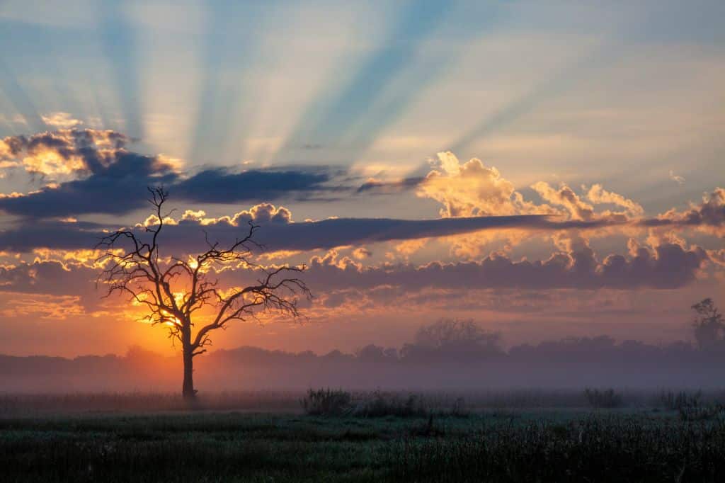 Preparar un viaje a Botswana en dos semanas