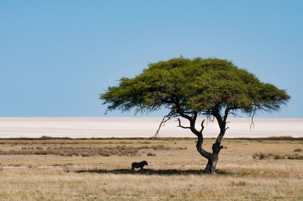 Documentos y requisitos para viajar a Namibia