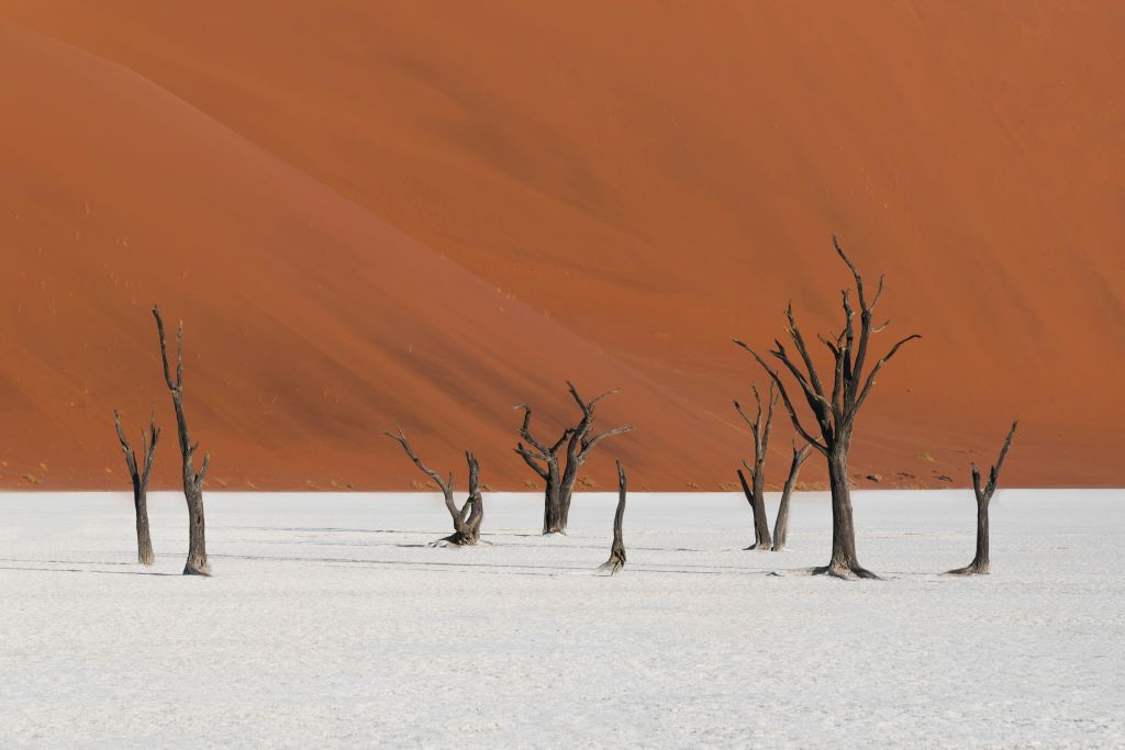 Qué necesito para viajar a Namibia