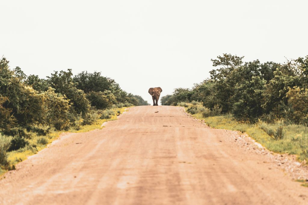 Qué requisitos para viajar a Namibia