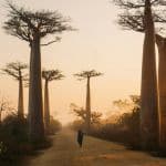 Viajar a Madagascar por libre: Ruta de 15 días