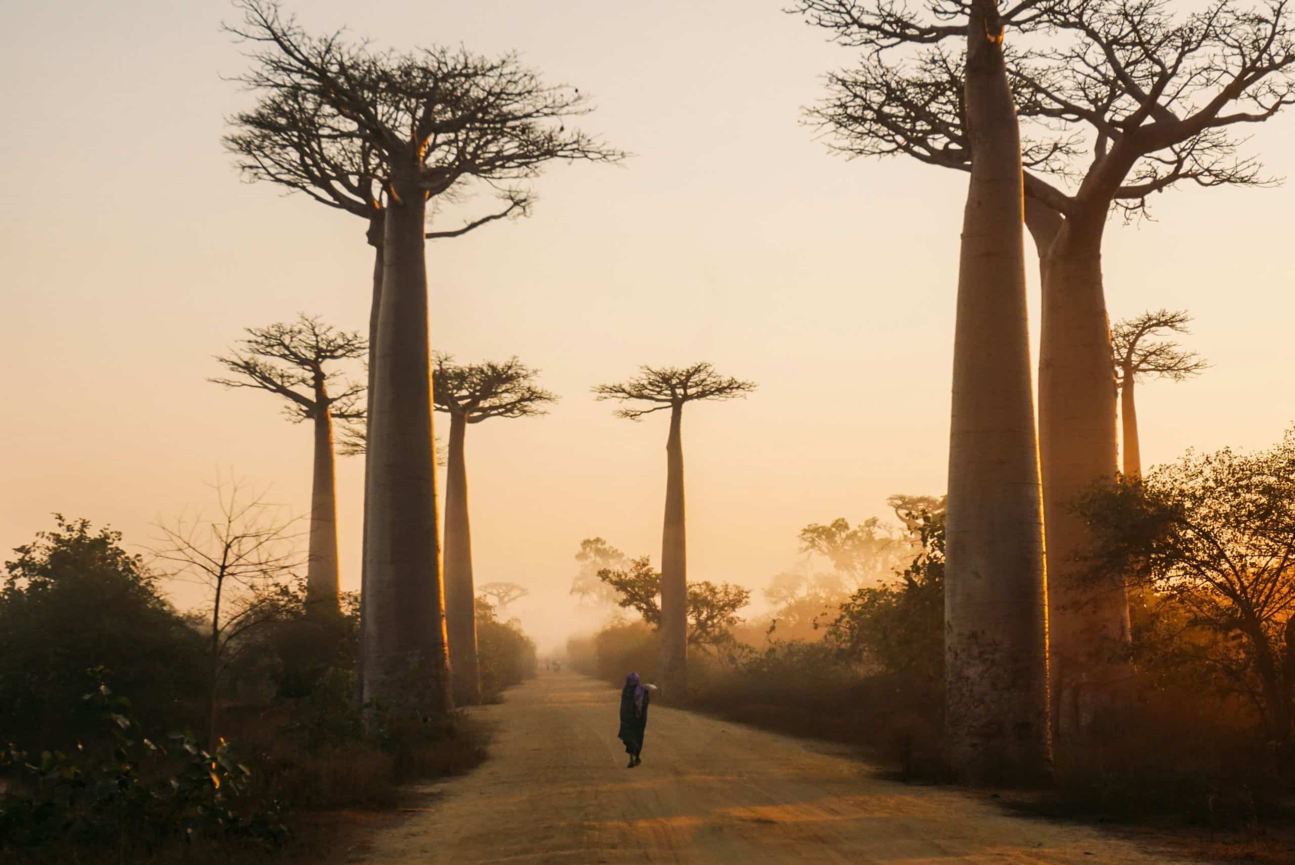 Viajar a Madagascar por libre: Ruta de 15 días