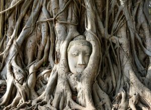 Vivir en Tailandia: guía completa para expatriados y nómadas digitales