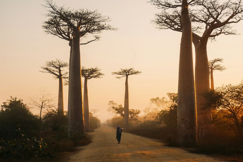 Destinos para irse de vacaciones en septiembre: Madagascar