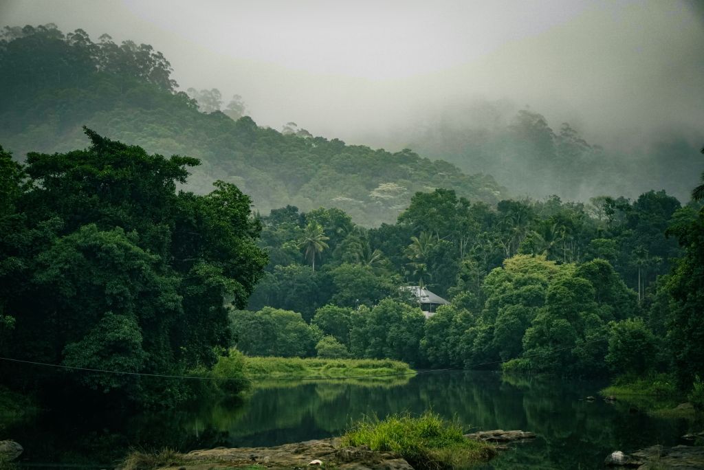 Thekkady, un lugar imprescindible para visitar en el sur de la India