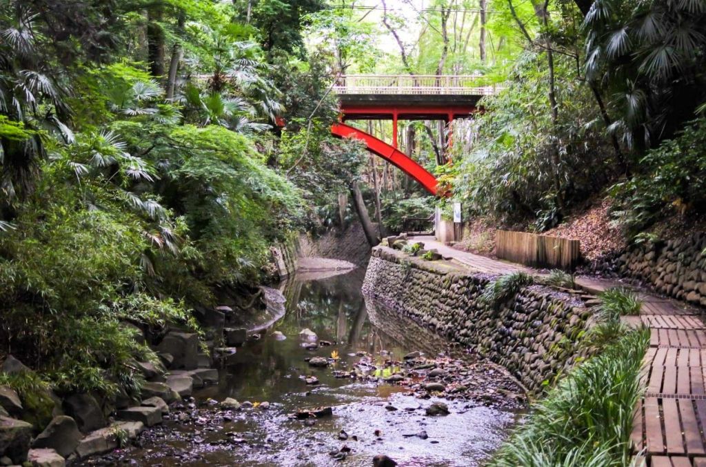 Lugares poco conocidos en Tokio, como el Todoroki Ravine Park