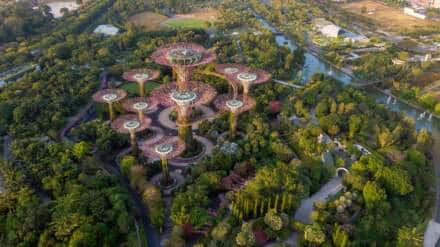 Requisitos para viajar a Singapur desde España en 2025