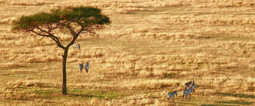 Requisitos para viajar a Tanzania