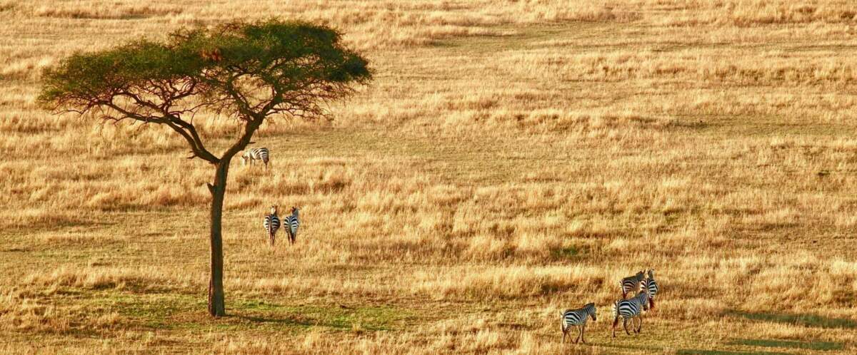 Requisitos para viajar a Tanzania desde España en 2025