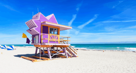 Qué ver en Miami y alrededores en 2025