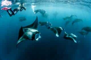 Bucear en Maldivas: mejores atolones, precios y consejos para tu inmersión