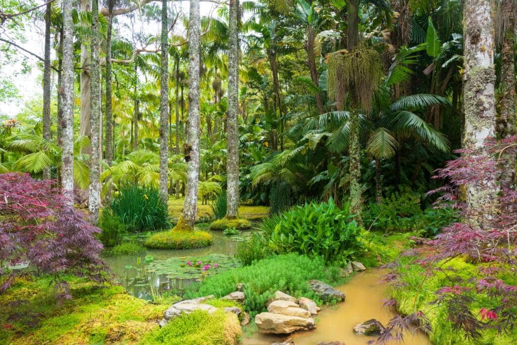 7 días en Azores