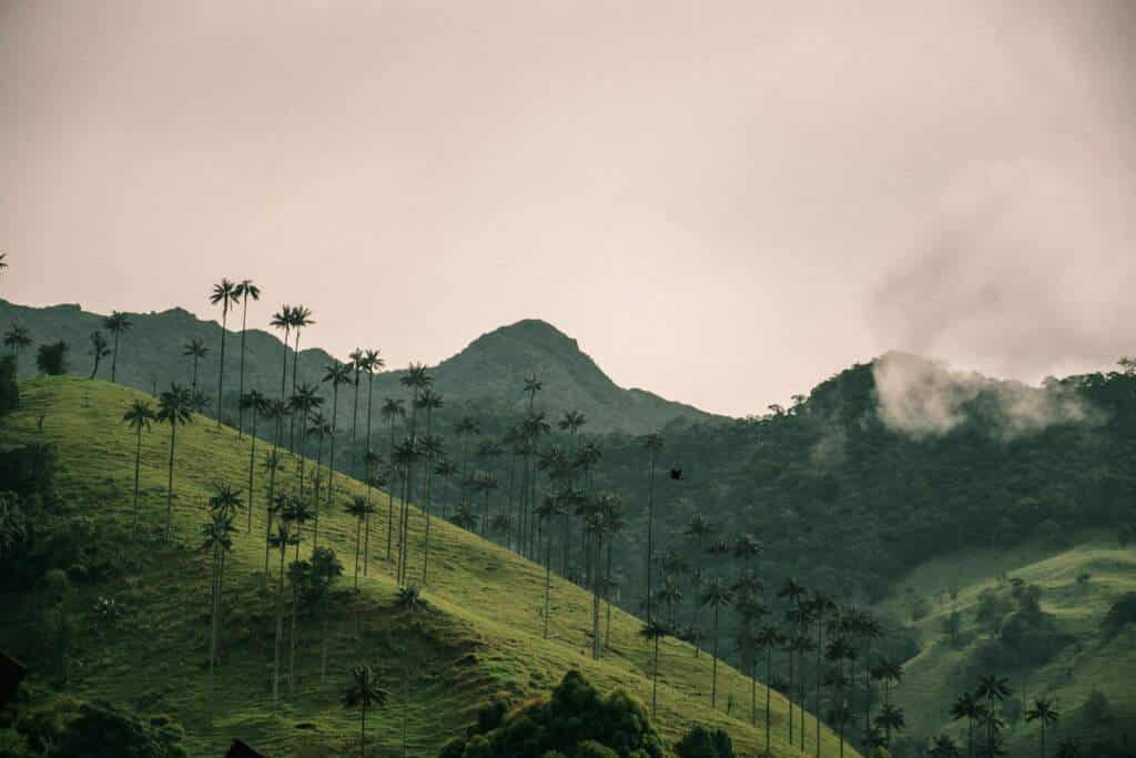 Ruta eje cafetero