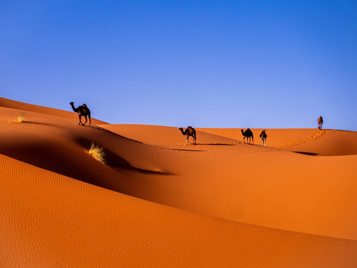 Desierto de Merzouga: cómo ir, qué hacer y dormir en el Sáhara