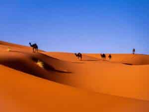 Cómo visitar el desierto de Merzouga