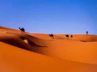 Desierto de Merzouga: cómo ir, qué hacer y dormir en el Sáhara