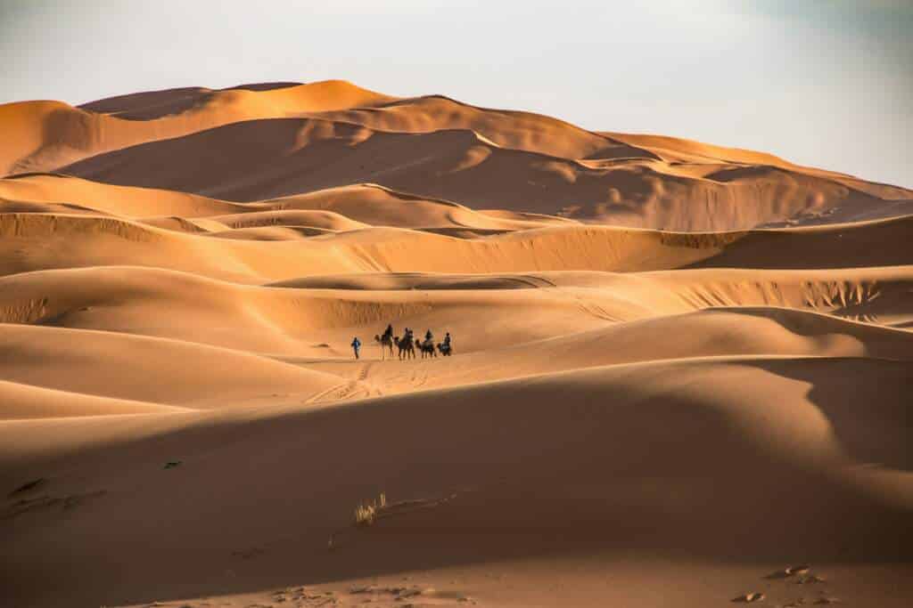 Zagora o Merzouga