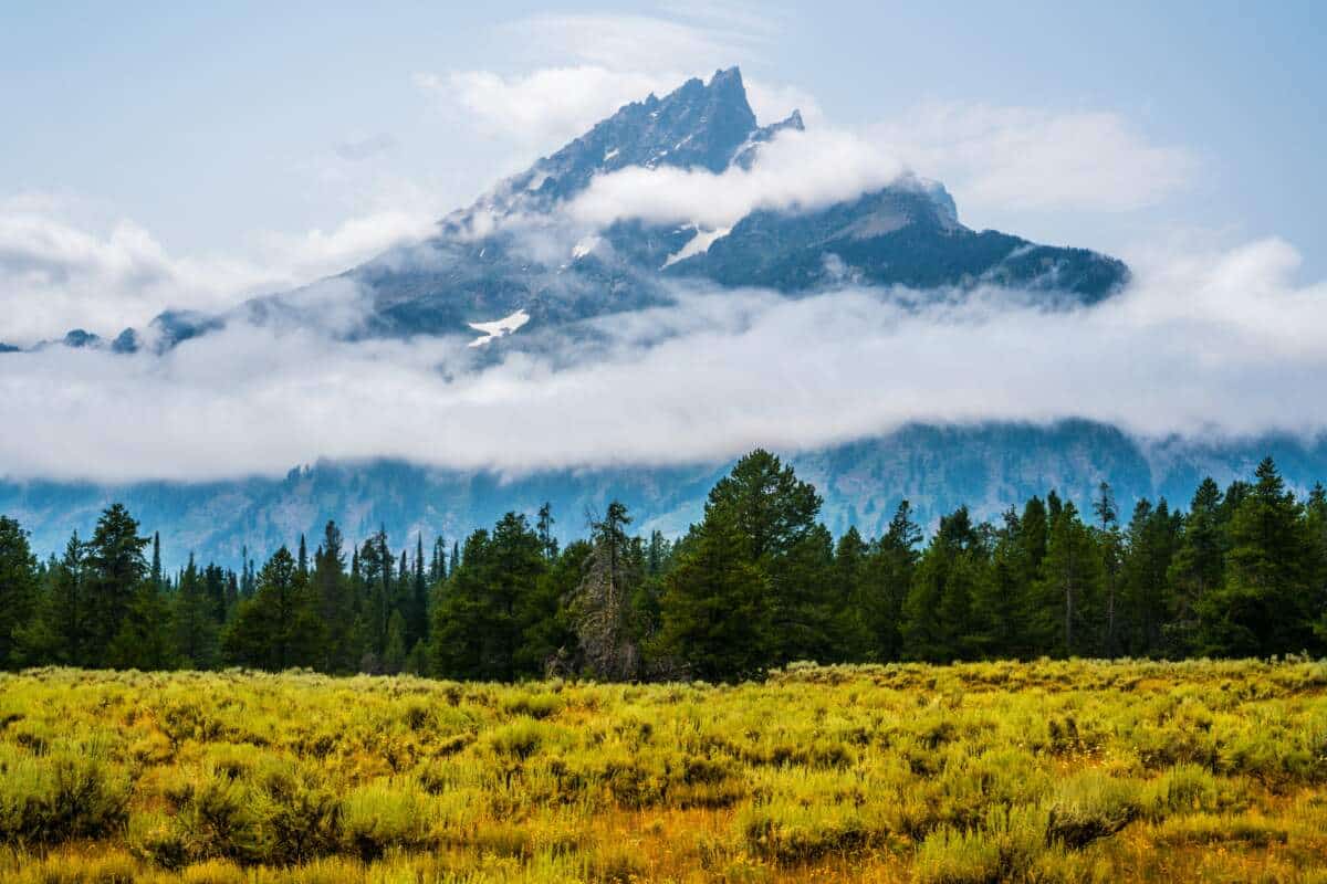 Guía para visitar Yellowstone: rutas, fauna, seguridad y consejos